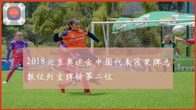 2018北京奥运会中国代表团奖牌总数位列金牌榜第二位
