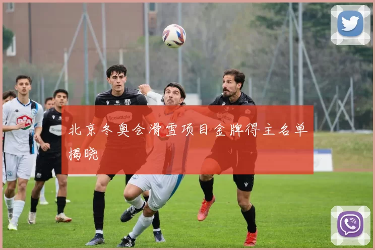 北京冬奥会滑雪项目金牌得主名单揭晓